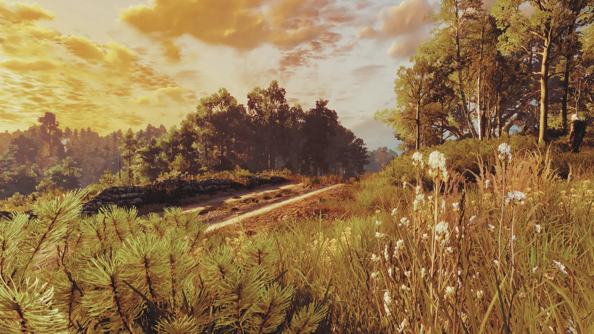 A path in the White Orchard region of The Witcher 3.
