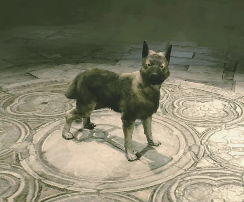Asheara, a canine companion in Diablo IV.
